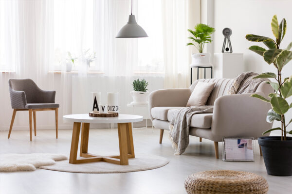 Armchair in cozy living room